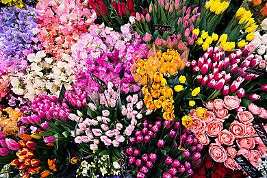 日系角色扮演《熊先生的餐厅》9月登陆Steam 支持中文